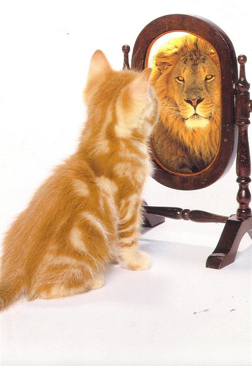 Learn about perception! 